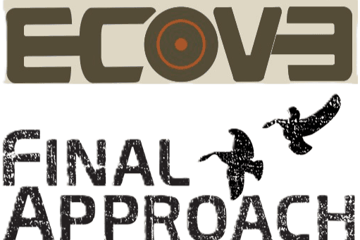ECOEVO FINAL APPROACH