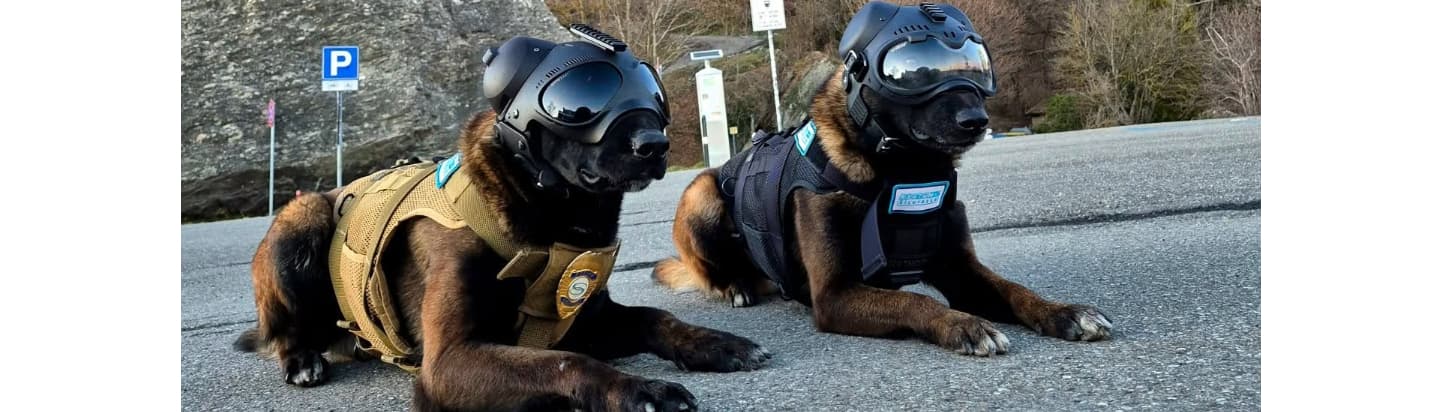 K9 THORN Ewelina Deputat