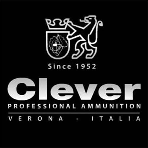 Clever srl logo