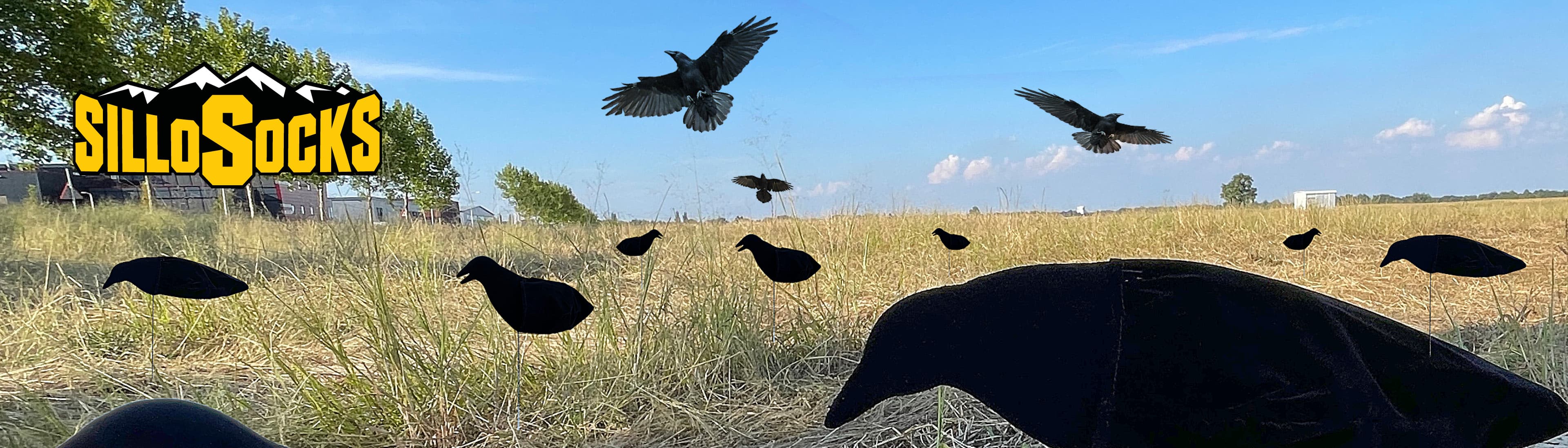 Sillosocks