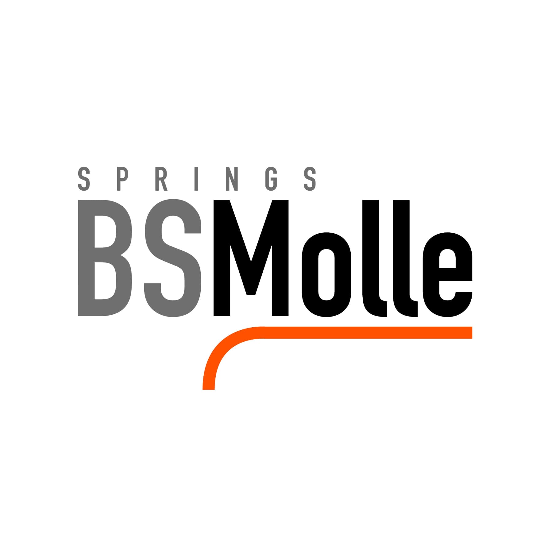 BSMOLLE SRL logo