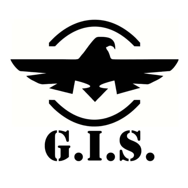 G.I.S. Global import service s.r.o. logo