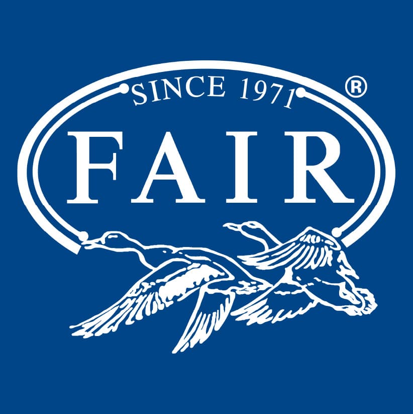 F.A.I.R. S.r.l. logo