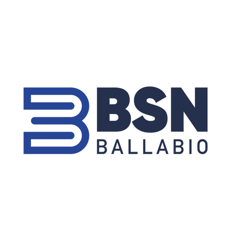 B.S.N. Ballabio Srl logo