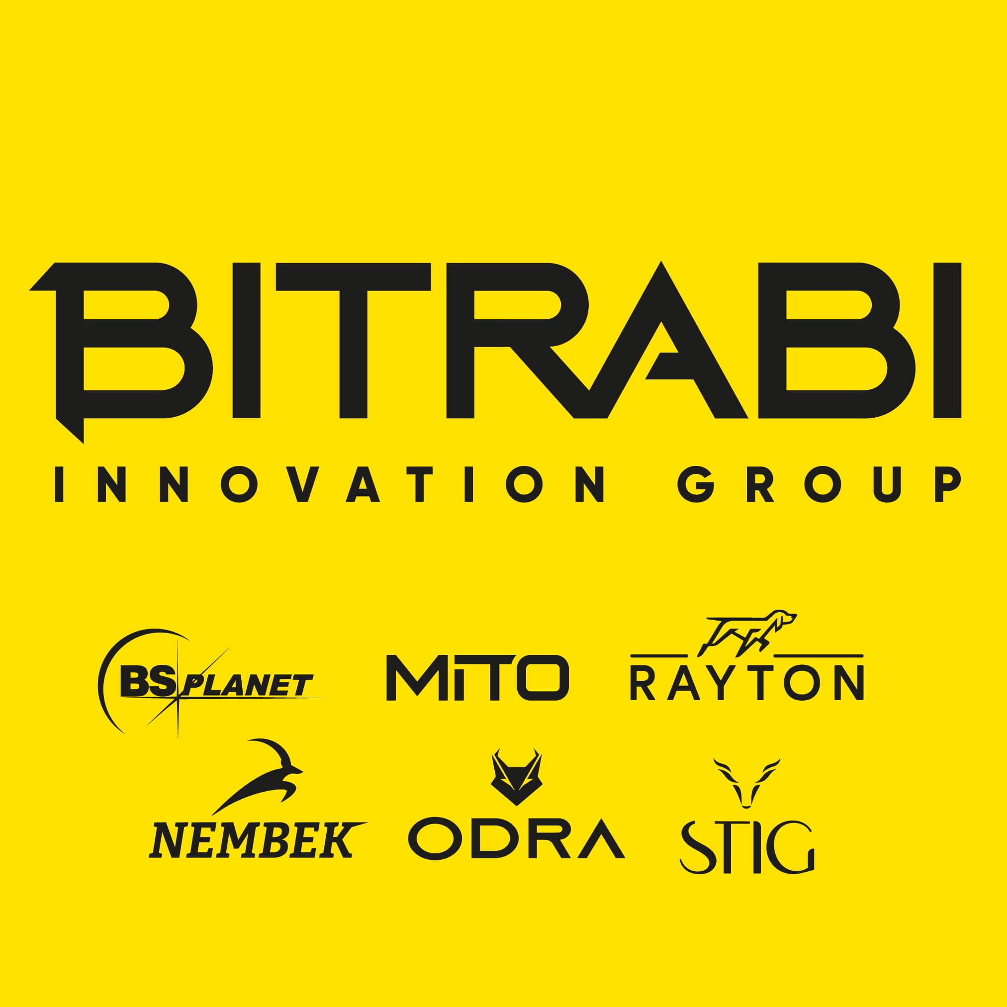 BITRABI INNOVATION GROUP logo