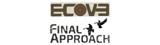 ECOEVO FINAL APPROACH