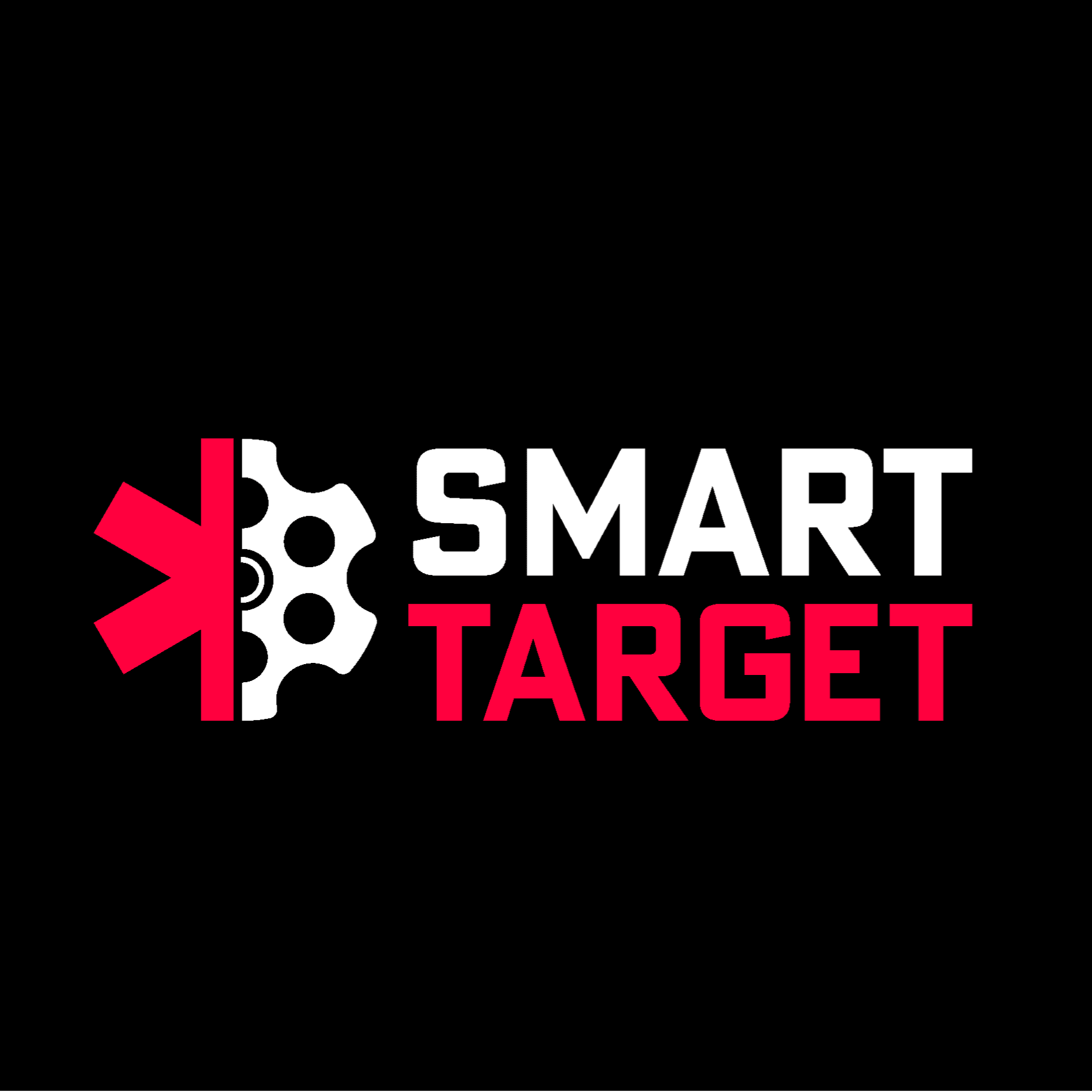 Smart Target Sp z o.o. logo