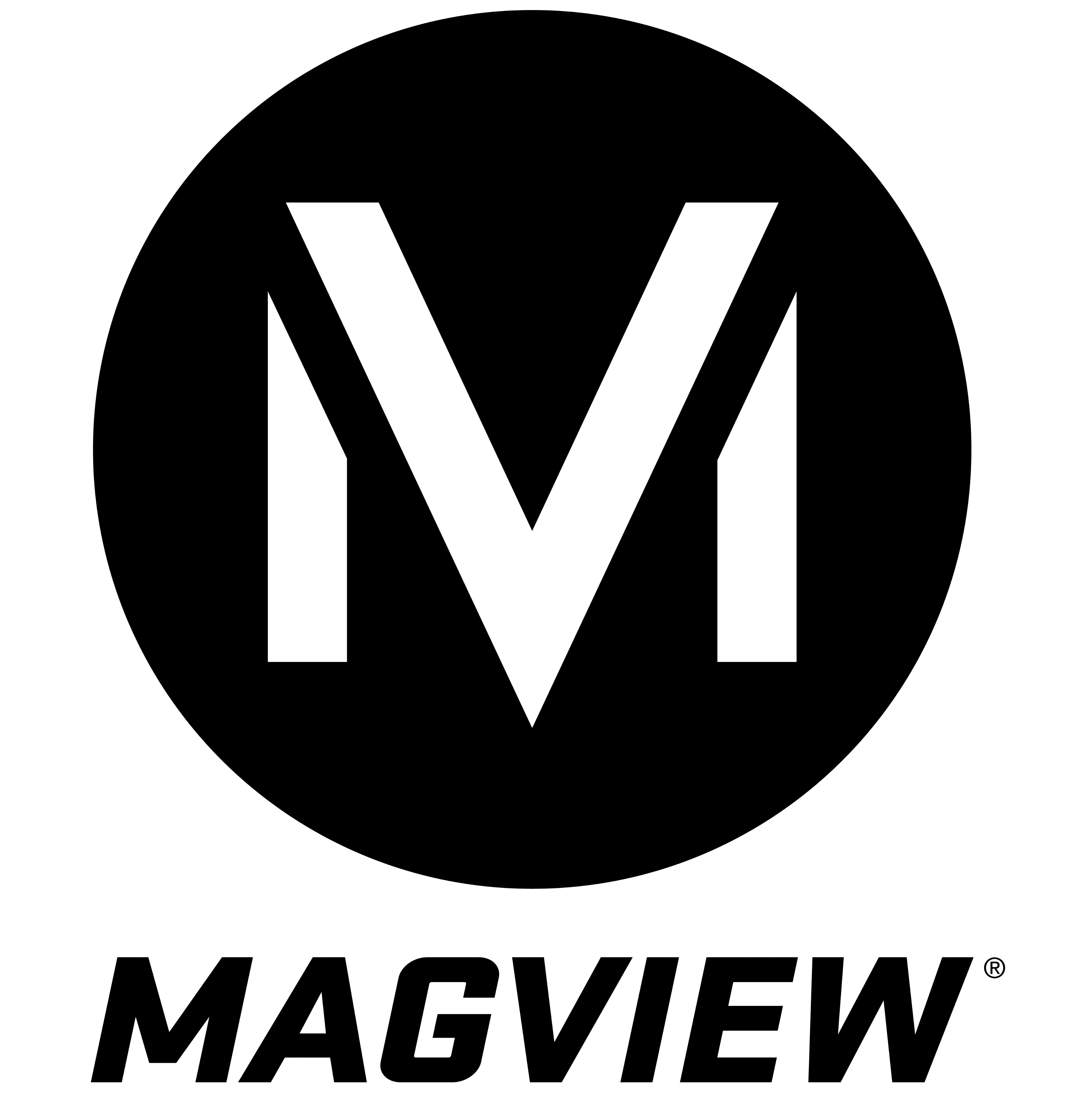 Magview logo