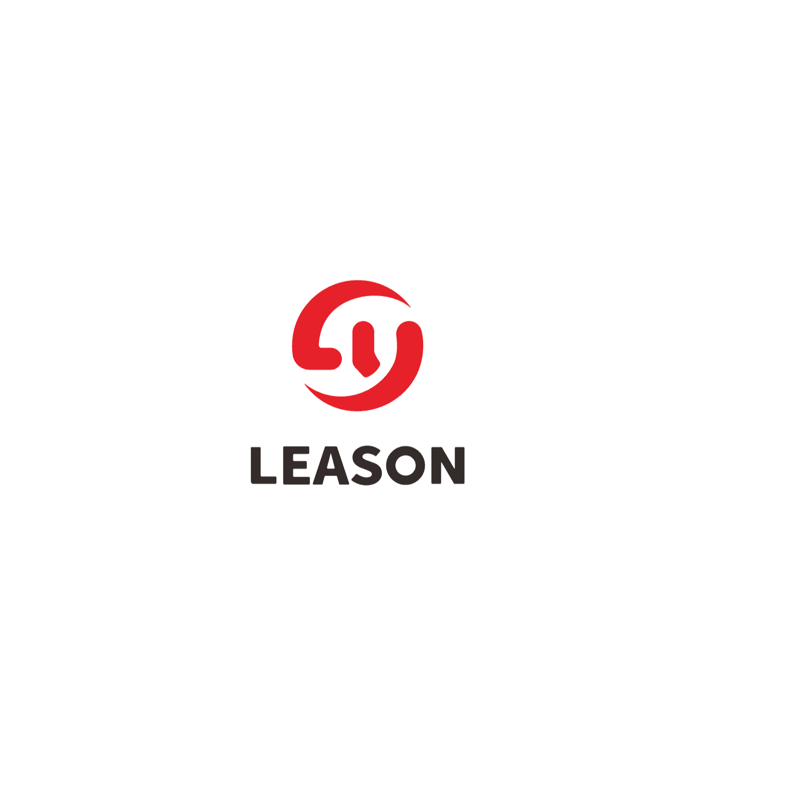 Dongguan leason steel ball co.,ltd. logo