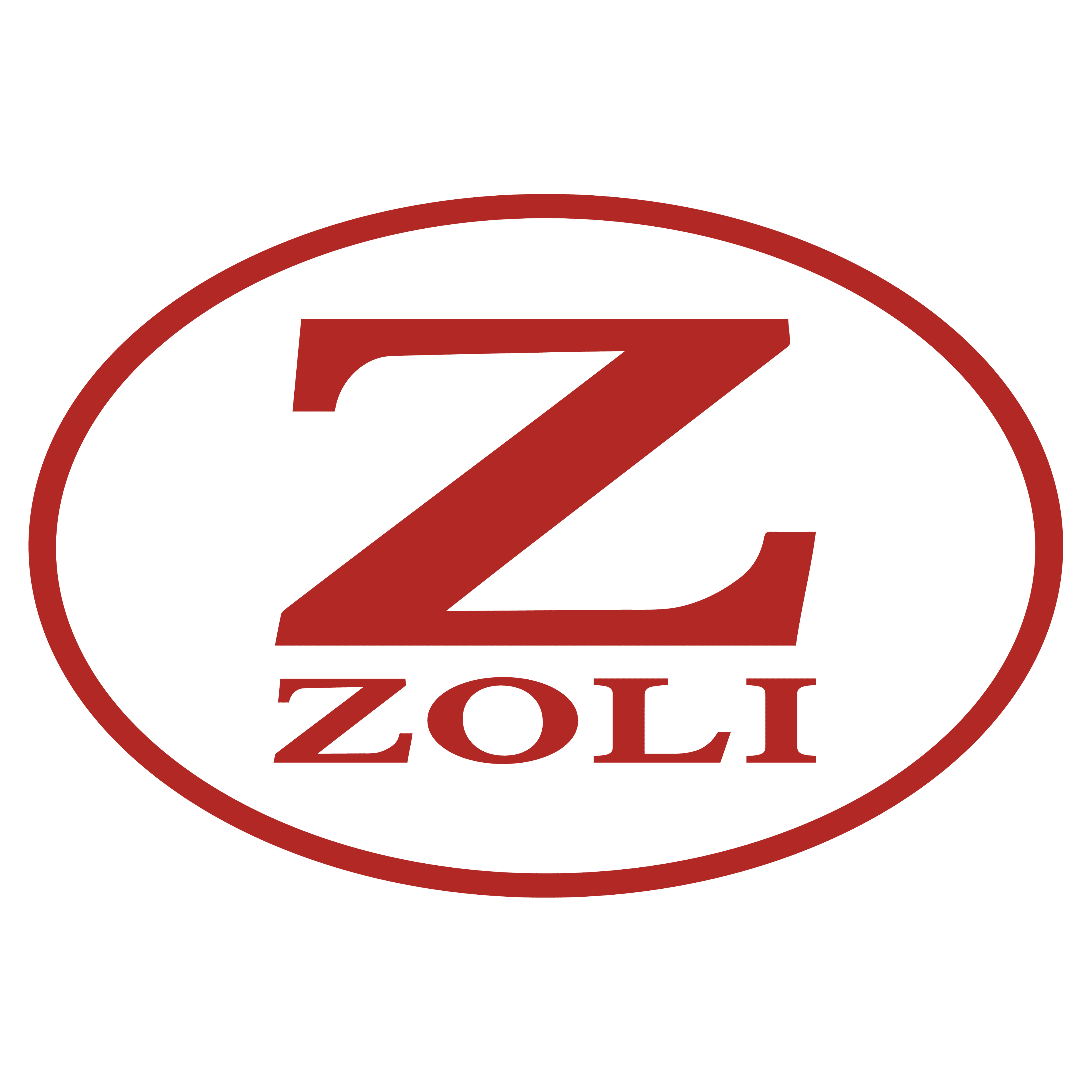 Zoli Antonio Srl logo