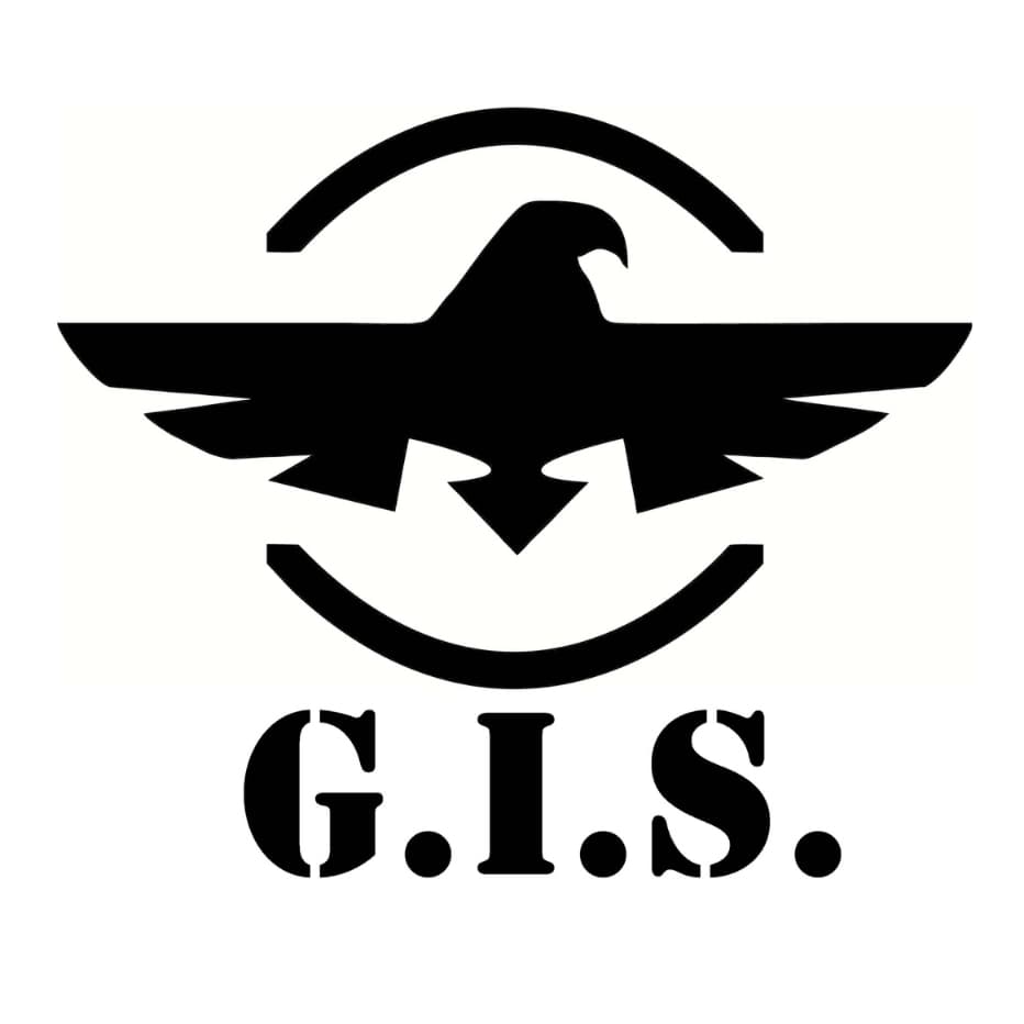 G.I.S. Global import service s.r.o. logo