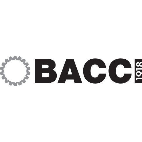 Paolino Bacci srl logo