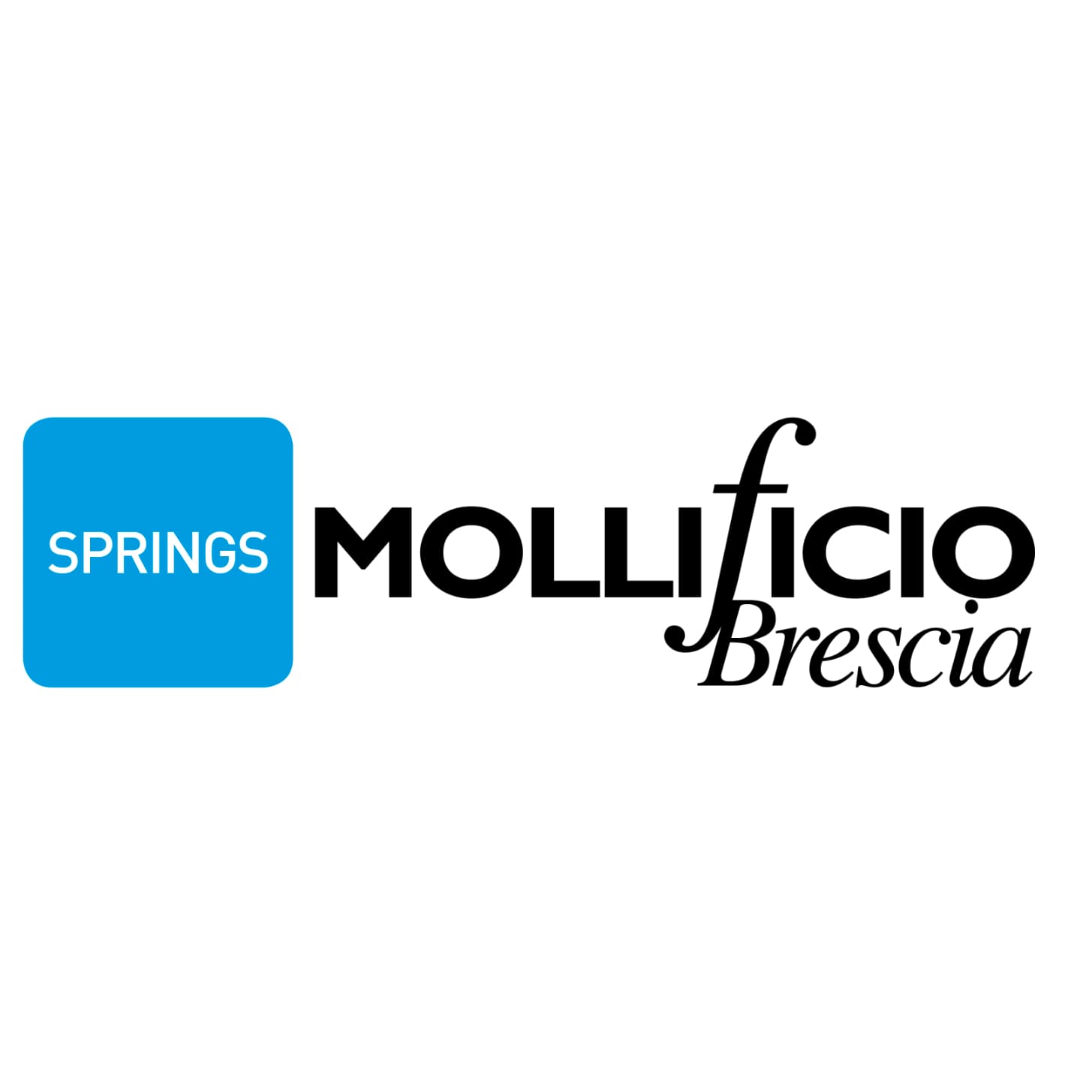 MOLLIFICIO BRESCIA SRL logo