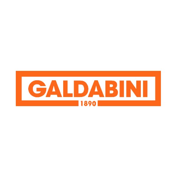 Cesare Galdabini spa logo